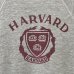 画像2: 70s USA製 CHAMPION ''HARVARD'' WATER PRINT SWEATSHIRT (2)