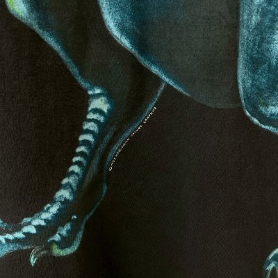 画像4: 90s USA製 DINOSAUR TEE SHIRT