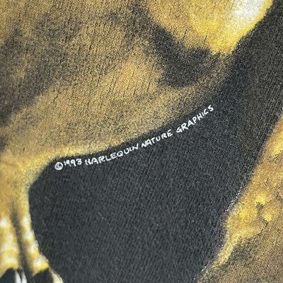 画像5: 90s USA製 DINOSAUR TEE SHIRT