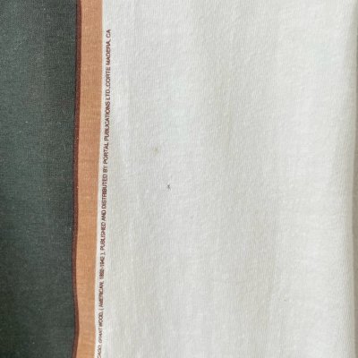 画像8: 90s USA製 AMERICAN GOTHIC TEE SHIRT