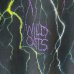 画像4: 90s USA製 WILD OATS THUNDER  TEE SHIRT