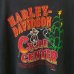 画像4: 90s USA製 HARLEY DAVIDSON MOUNT RUSHMORE parody TEE SHIRT