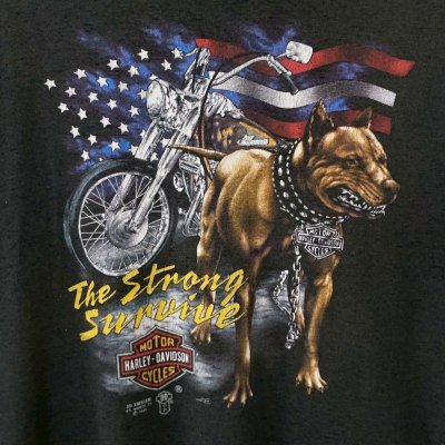 画像2: 80s USA製 HARLEY DAVIDSON 3D EMBLEM TEE SHIRT