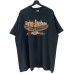 画像1: 80s USA製 HARLEY DAVIDSON EAGLE TEE SHIRT (1)