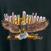 画像3: 80s USA製 HARLEY DAVIDSON EAGLE TEE SHIRT