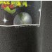 画像3: 90s USA製 SPACE JAM LOONEY TUNES TEE SHIRT (3)