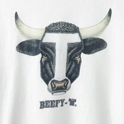 画像2: 90s USA製 HANES BEEFY-T TEE SHIRT