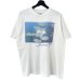 画像1: 90s USA製 CLAUDE MONET 睡蓮  TEE SHIRT (1)