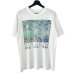 画像1: 90s VINCENT VAN GOGH アイリス TEE SHIRT (1)