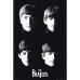 画像6: 90s USA製 MICKEY MOUSE BEATLES parody TEE SHIRT