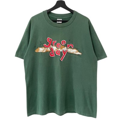 画像1: 90s USA製 GREEN DAY DOOKIE TOUR TEE SHIRT