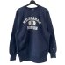 画像1: 90s USA製 CHAMPION REVERSE WEAVE SWEATSHIRT (1)