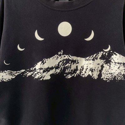 画像2: 00s NIKE MOON SWEATSHIRT