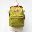 画像1: JANSPORT 蛍光カラー DAYPACK (1)