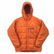 画像1: 03s Patagonia DAS PARKA HOTLAVA (1)