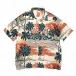 画像1: 00s patagonia pataloha HAWAIIAN SHIRT (1)