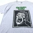 画像3: 90s USA製 GREEN DAY BASKET CASE TEE SHIRT (3)