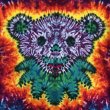 画像3: 90s GRATEFUL DEAD BEAR TIE DYE TEE SHIRT (3)