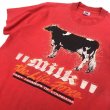 画像2: 90s USA製　MILK TEE SHIRT (2)