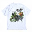 画像1: 90s USA製 ANIMAL TEE SHIRT (1)