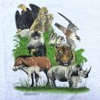 画像6: 90s USA製 ANIMAL TEE SHIRT (6)