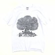 画像1: 80s USA製　FAMILY TREE ROCK'N ROLL TEE SHIRT (1)