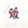 画像1: 90s USA製　LOONEY TUNES KRISS KROSS BULLS TEE SHIRT (1)