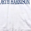 画像5: 90s USA製 NORTH HARRISON ART TEE SHIRT (5)