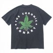 画像1: 90s USA製 CONART MARIJUANA TEE SHIRT (1)