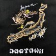 画像5: 90s〜00s DOGTOWN SOUVENIR PARKA (5)