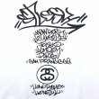 画像5: 90s USA製 OLD STUSSY xSTASH? WORLD TOUR SWEAT (5)