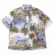 画像1: 90s REYN SPOONER PULLOVER HAWAIIAN S/S SHIRT (1)