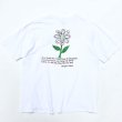 画像1: 90s USA製 SAVE STOCKTON EARTH WEEK TEE SHIRT (1)