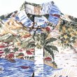 画像3: 90s REYN SPOONER PULLOVER HAWAIIAN S/S SHIRT (3)