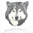 画像2: 90s USA製 ONE PLANET ENDANGERED TEE SHIRT (2)