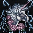 画像3: 90s AMERICAN THUNDER UNICORN TEE SHIRT (3)