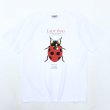 画像1: 90s USA製 LADY BUG ART TEE SHIRT (1)