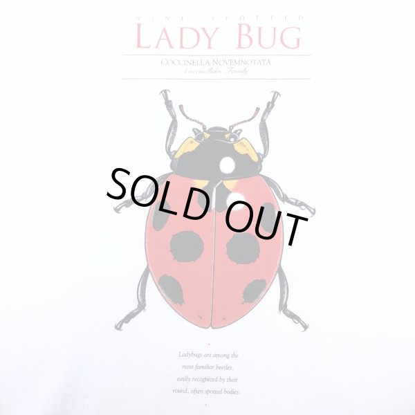 画像4: 90s USA製 LADY BUG ART TEE SHIRT (4)