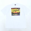 画像1: 90s USA製 魚 TEE SHIRT (1)