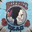 画像5: 90s USA製 GRATEFUL DEAD BAFFALO DEAD TEE SHIRT (5)