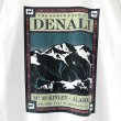 画像4: 90s USA製　THE NORTH FACE DENALI TEE SHIRT (4)