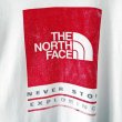 画像4: 90s USA製 THE NORTH FACE BIG LOGO TEE SHIRT (4)