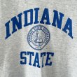 画像2: 90s USA製 CHAMPION INDIANA STATE TEE SHIRT (2)