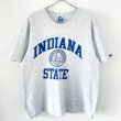 画像1: 90s USA製 CHAMPION INDIANA STATE TEE SHIRT (1)