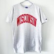 画像1: 90s USA製 CHAMPION WISCONSIN 染み込みPRINT TEE SHIRT (1)