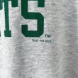 画像4: 90s USA製 CHAMPION NEW YORK JETS TEE SHIRT (4)