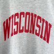 画像3: 90s USA製 CHAMPION WISCONSIN 染み込みPRINT TEE SHIRT (3)