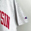 画像4: 90s USA製 CHAMPION WISCONSIN 染み込みPRINT TEE SHIRT (4)