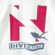 画像4: 90s USA製 TOMMY HILFIGER DIVE CHARTER BIG LOGO TEE SHIRT (4)