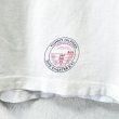 画像5: 90s USA製 TOMMY HILFIGER DIVE CHARTER BIG LOGO TEE SHIRT (5)